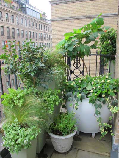 Manhattan Master Terrace